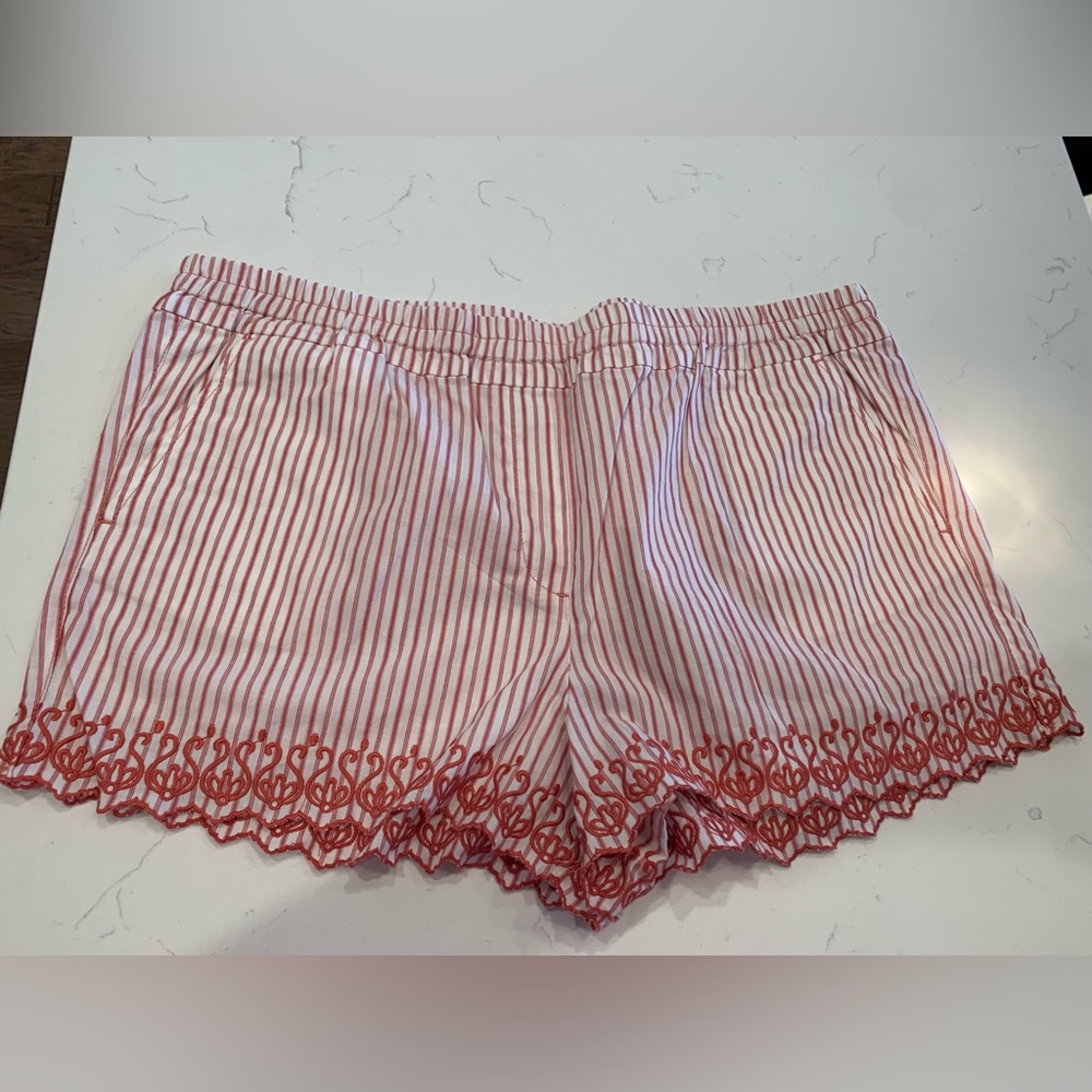 LOFT Women’s Shorts - XL